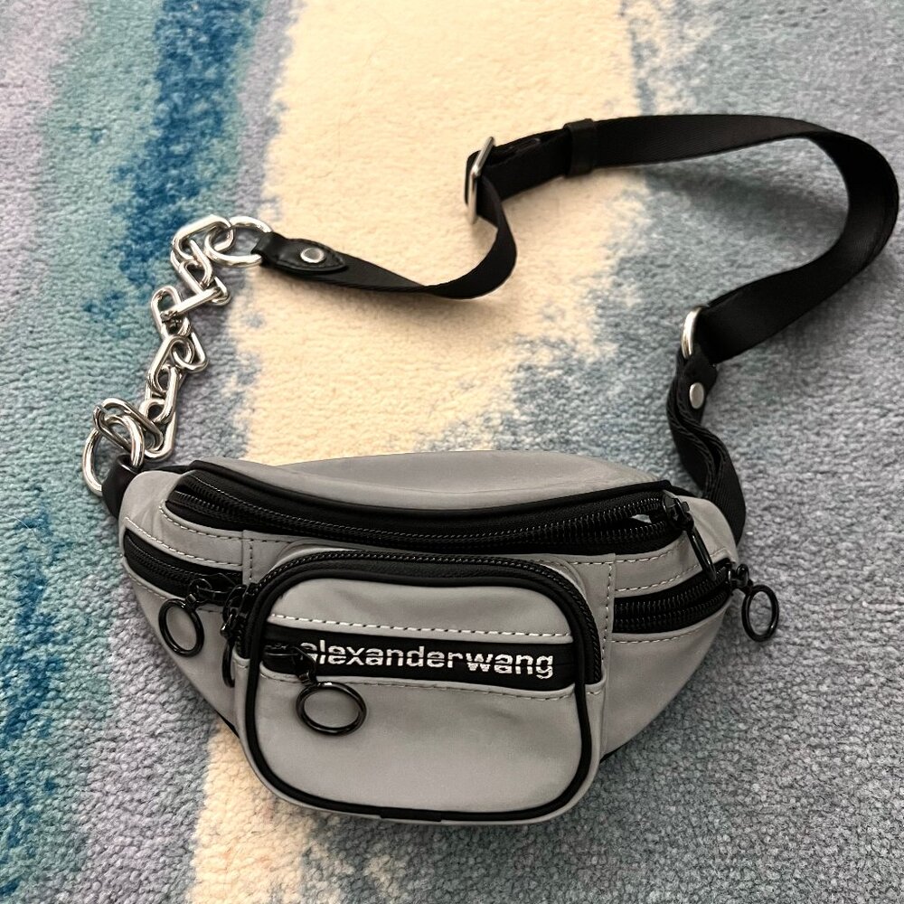 Alexander Wang Belt/Crossbody Mini Bag